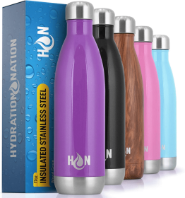 Hydration Nation Double Wall Insulated Water Bottle (Color: AMTHYST, size: 25oz)